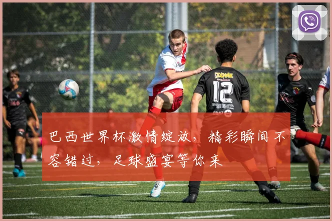 巴西世界杯激情绽放，精彩瞬间不容错过，足球盛宴等你来
