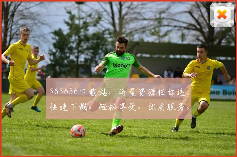 565656下载站，海量资源任你选，快速下载，轻松享受，优质服务，值得信赖，免费下载，畅享无忧