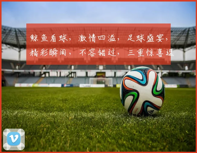 鲸鱼看球，激情四溢，足球盛宴，精彩瞬间，不容错过，三重惊喜逗你笑。