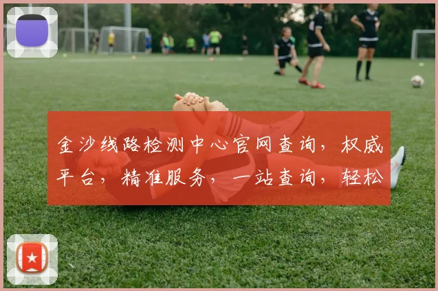 金沙线路检测中心官网查询，权威平台，精准服务，一站查询，轻松解决。