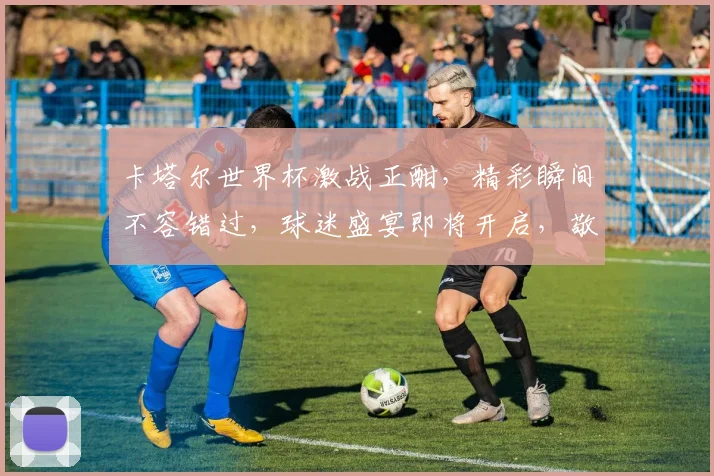 卡塔尔世界杯激战正酣，精彩瞬间不容错过，球迷盛宴即将开启，敬请期待
