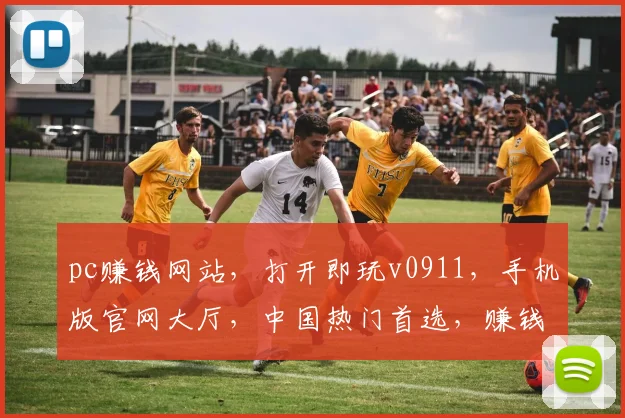 pc赚钱网站，打开即玩v0911，手机版官网大厅，中国热门首选，赚钱利器